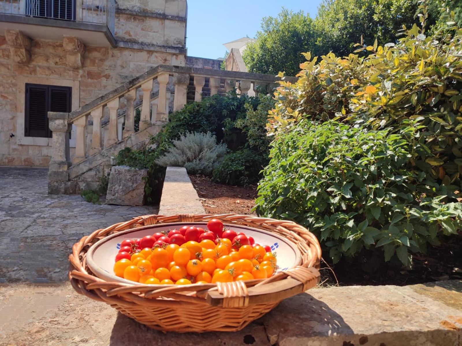 Villa Ostuni Монополи Экстерьер фото