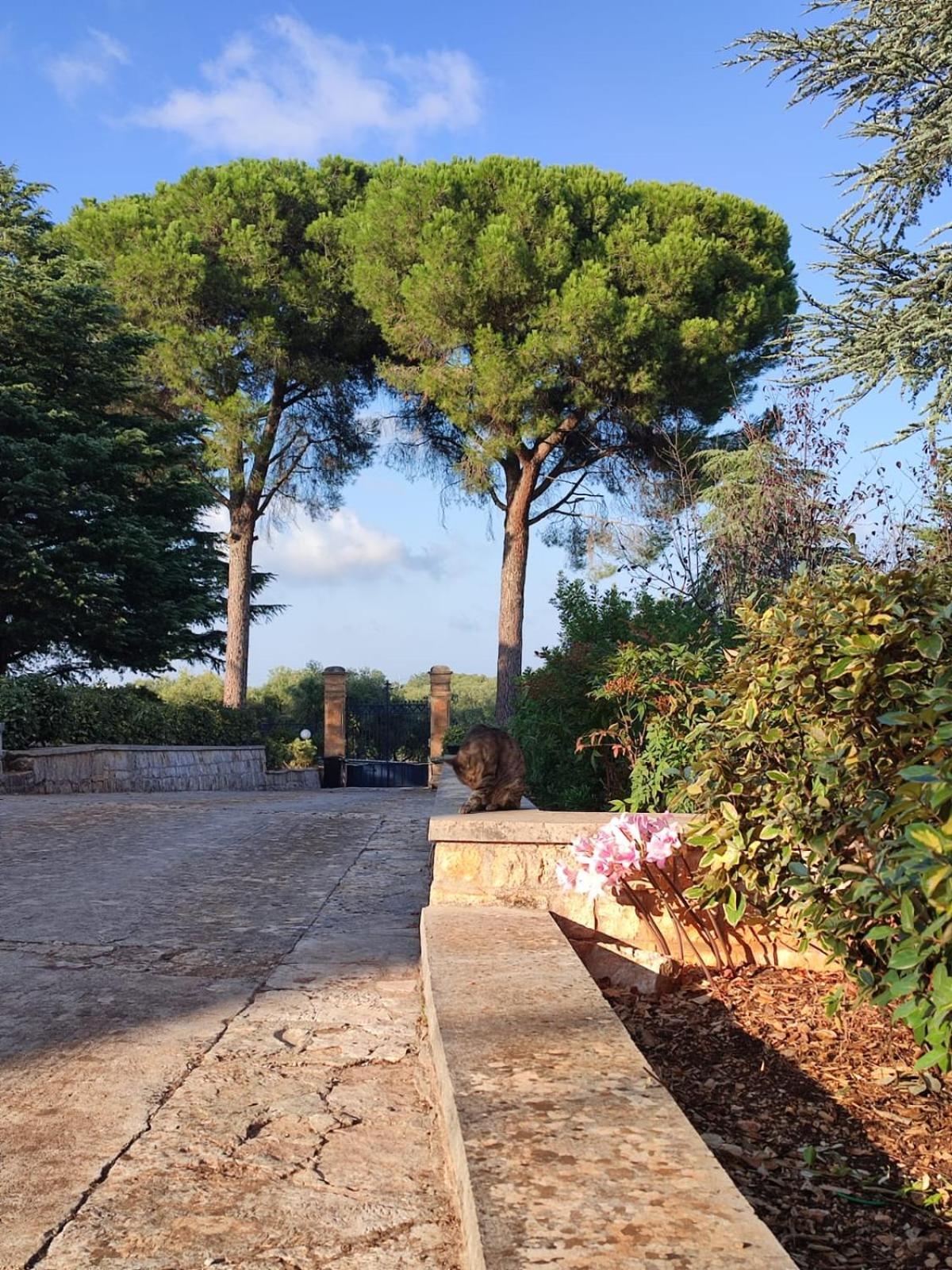 Villa Ostuni Монополи Экстерьер фото